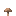 棕蘑菇